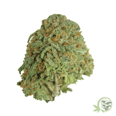 Blue Dream Cannabis