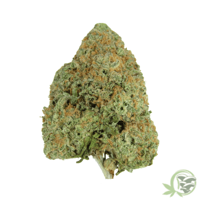 Blue Dream Strain