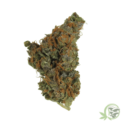 Tropic Truffle Marijuana