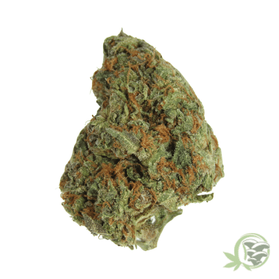 Tropic Truffle Cannabis