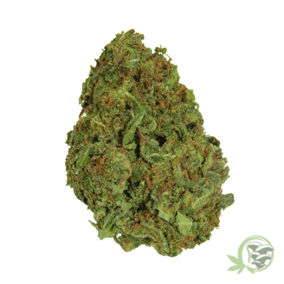 AK-47 Hybrid