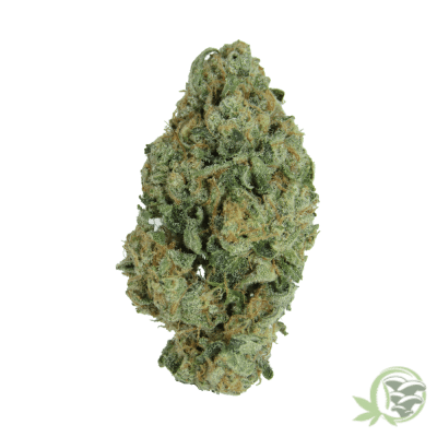 Wedding Crasher Hybrid