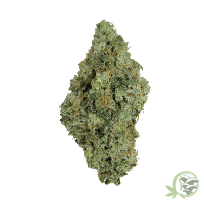 Wedding Crasher Strain