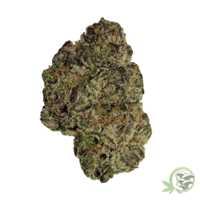 Purple Space Cookies Hybrid