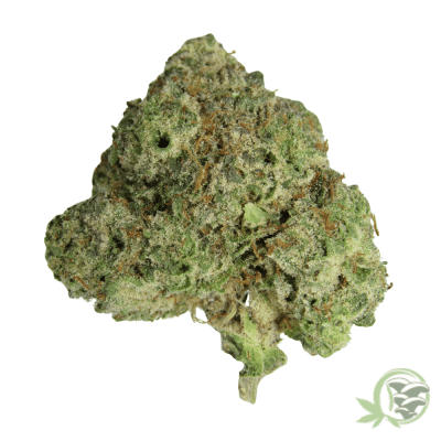 Meat Breath Hybrid