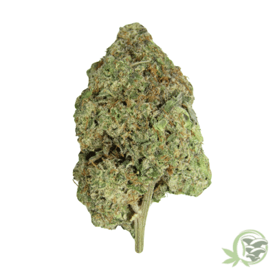 Meat Breath Marijuana