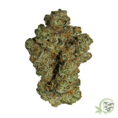 Pure Michigan Hybrid
