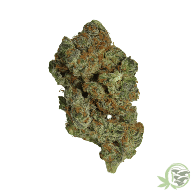 Pure Michigan Strain