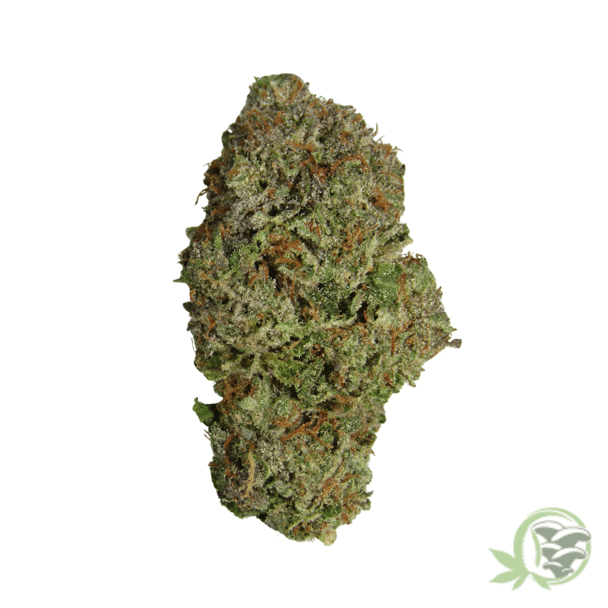 Death Bubba Cannabis
