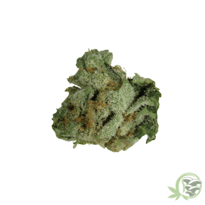 Ice Cream Indica (Smalls)