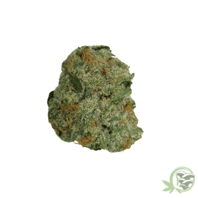Ice Cream Hybrid (Smalls)