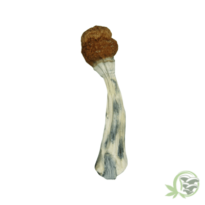 Orissa Shroom
