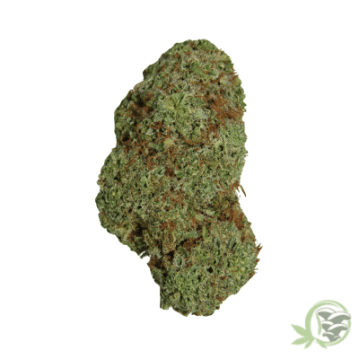 Hawaiian Punch Hybrid
