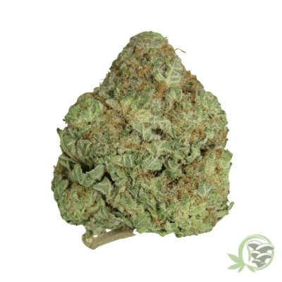 Rainbow Pie Hybrid