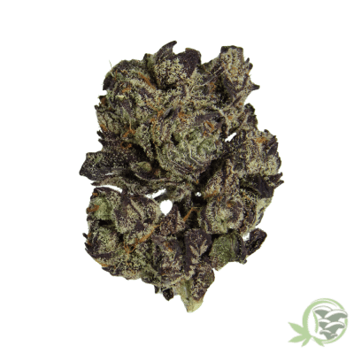 White Cherry Truffle Indica Hybrid