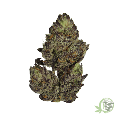 White Cherry Truffle Marijuana
