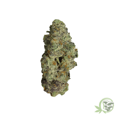 White Cherry Truffle Strain