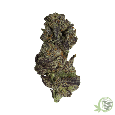 White Cherry Truffle Cannabis