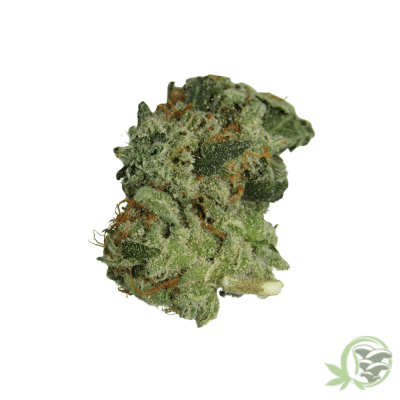 Megalodon Weed
