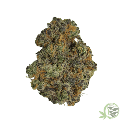 Garlic Breath Marijuana