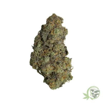 Garlic Breath Strain