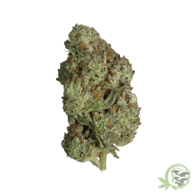 Oreo THC Strain