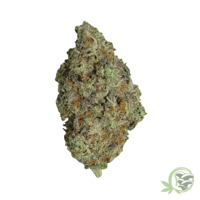 Oreo Cannabis Strain