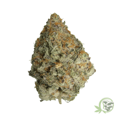 Red Bull Marijuana