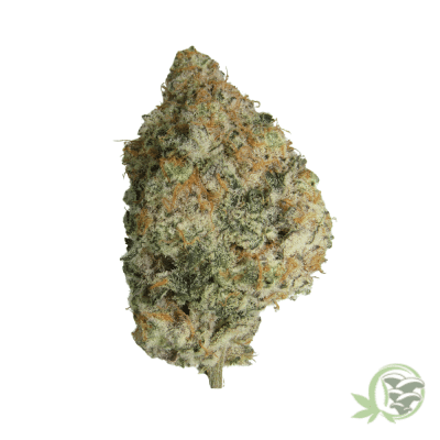 Red Bull Strain