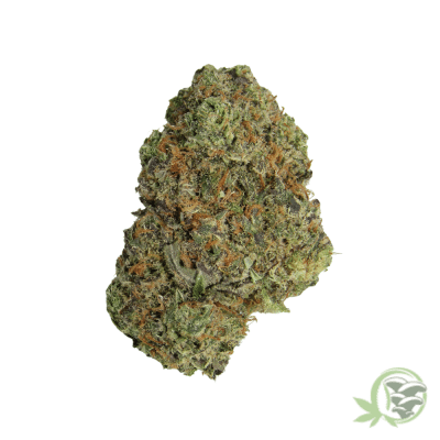 Tangie Hybrid Strain