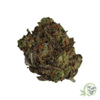 Blackberry Cream Strain