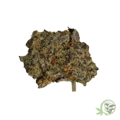 Gelato Punch Strain