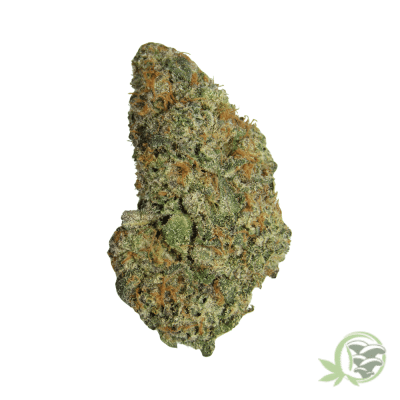 Gushers Hybrid