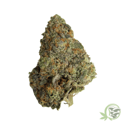 Gushers Strain