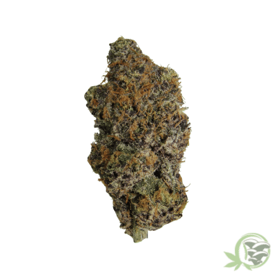 Black Kush Indica Hybrid