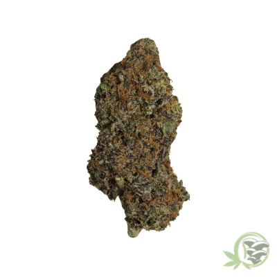Black Kush Marijuana