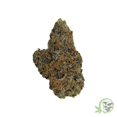 Black Kush Cannabis Strain