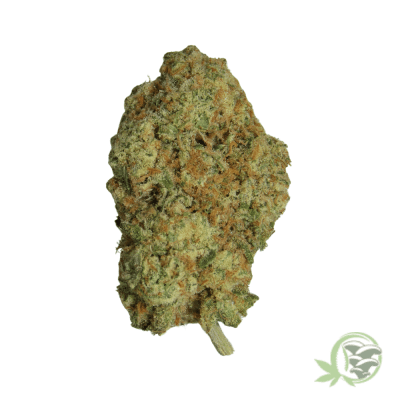 Guava Marijuana Strain