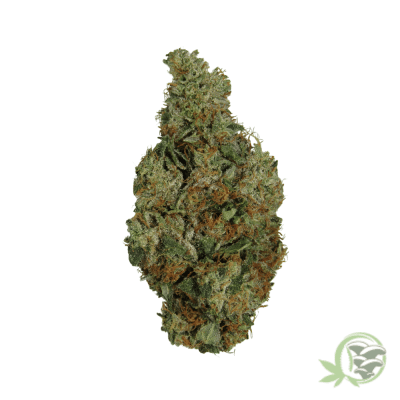 Hindu Kush Weed Strain