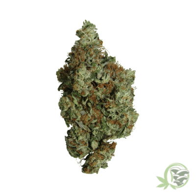 Hindu Kush Marijuana