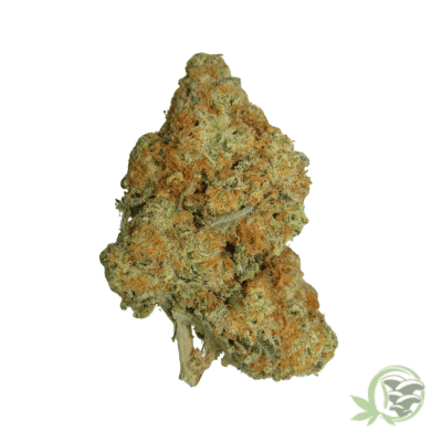Sugar Cookies Weed Strain