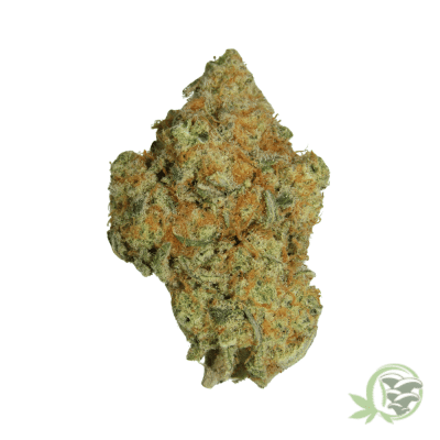 Sugar Cookies Cannabis Hybrid