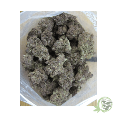 Triceratops Strain