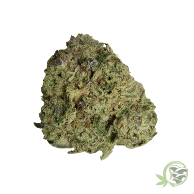 Donkey Butter Hybrid