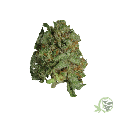 Liberty Haze Weed Strain