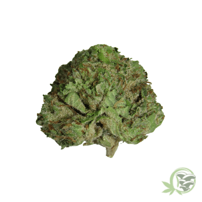 Liberty Haze Hybrid Strain