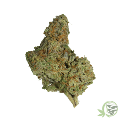 Mendocino Purps Cannabis Strain