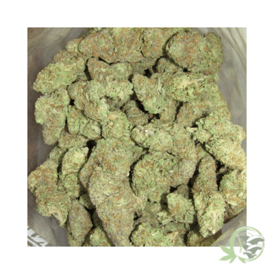 Mendocino Purps Strain