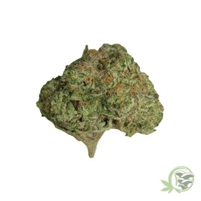 Runtz Marijuana Bud