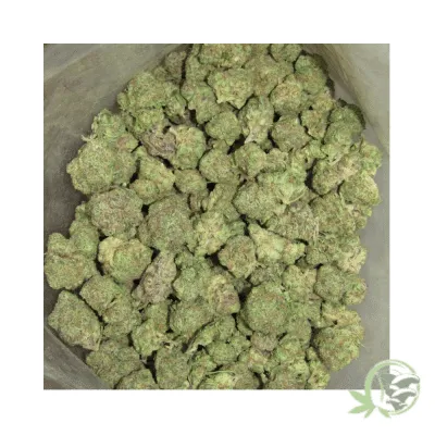 Runtz Cannabis Strain